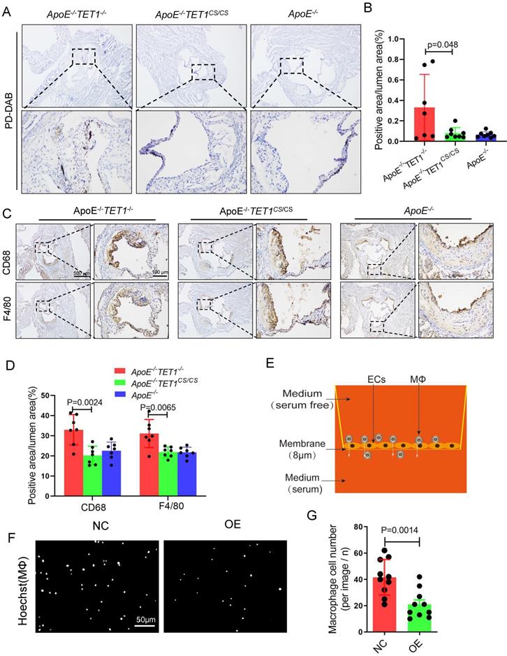 Int J Biol Sci Image