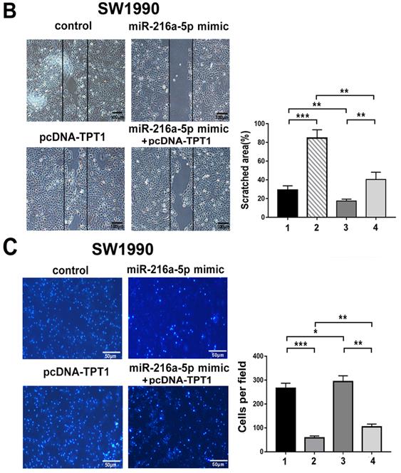 Int J Biol Sci Image