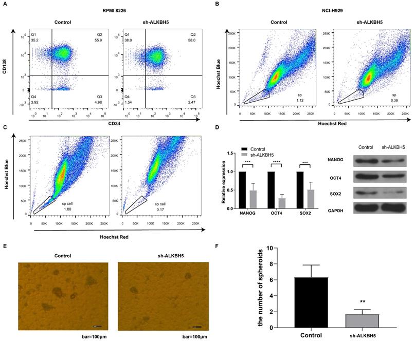 Int J Biol Sci Image