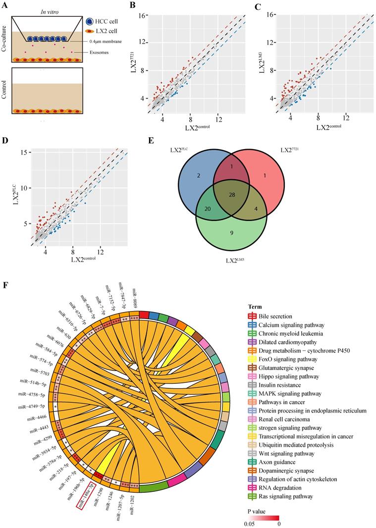 Int J Biol Sci Image