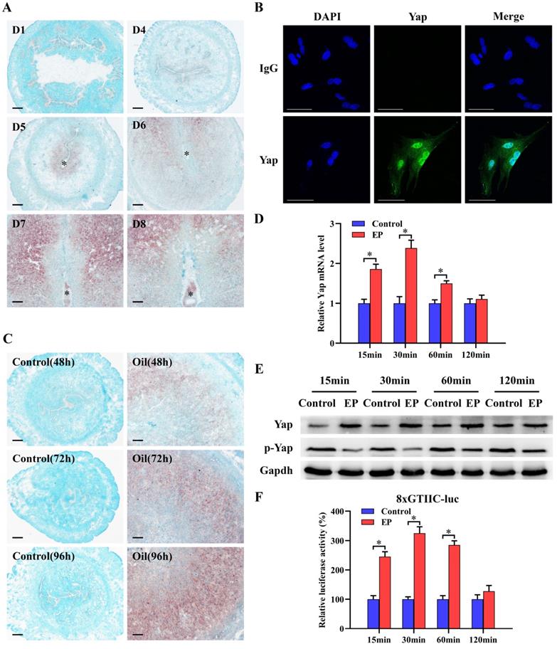 Int J Biol Sci Image