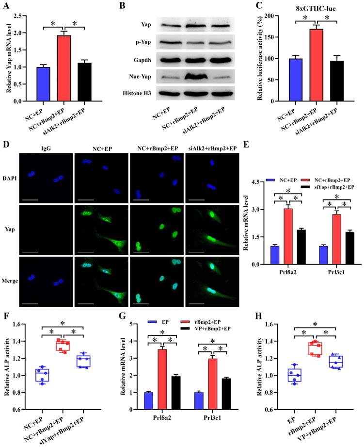 Int J Biol Sci Image