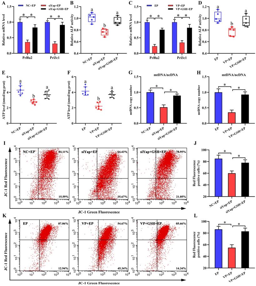 Int J Biol Sci Image