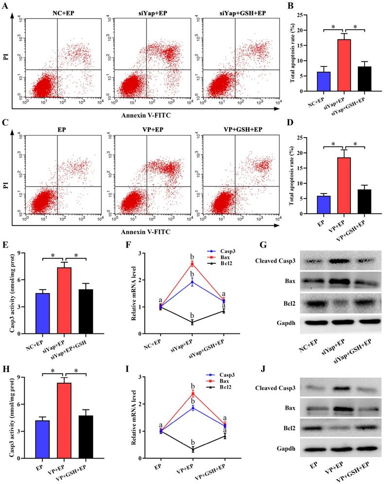 Int J Biol Sci Image