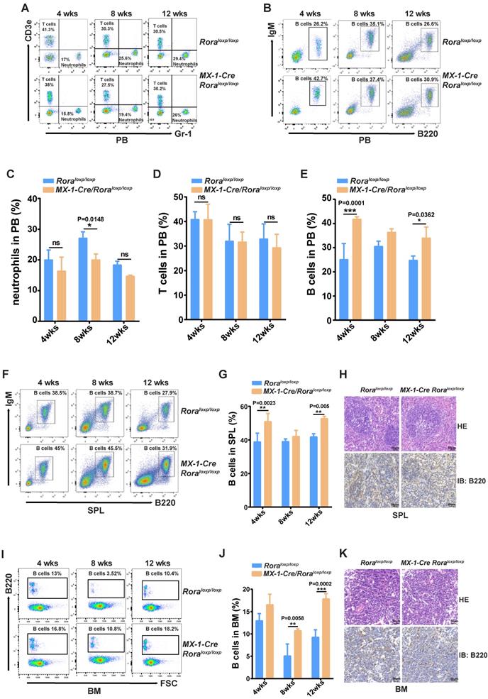 Int J Biol Sci Image