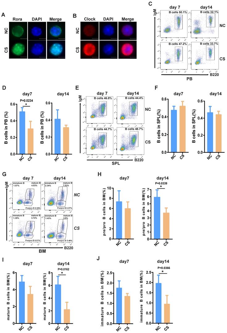 Int J Biol Sci Image