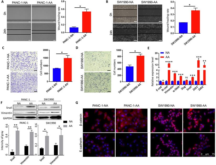 Int J Biol Sci Image