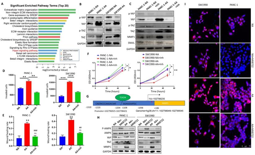 Int J Biol Sci Image