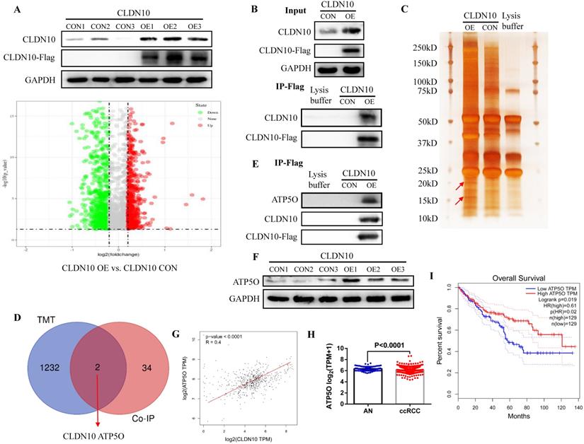 Int J Biol Sci Image