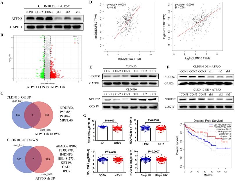 Int J Biol Sci Image