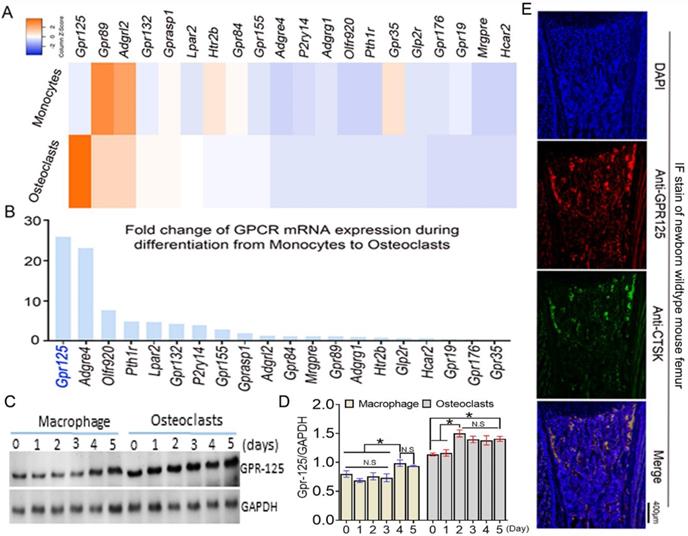 Int J Biol Sci Image