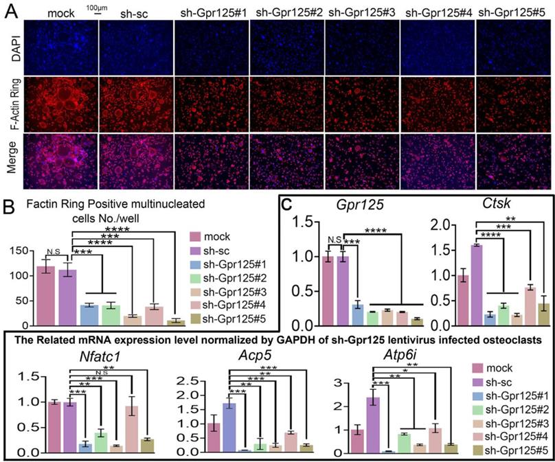 Int J Biol Sci Image