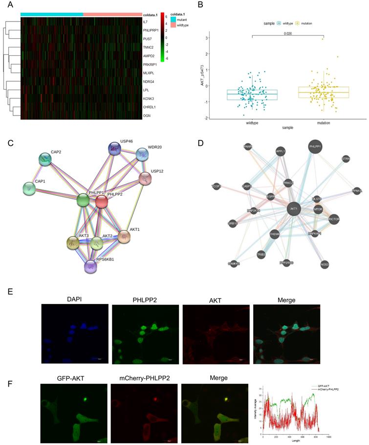 Int J Biol Sci Image