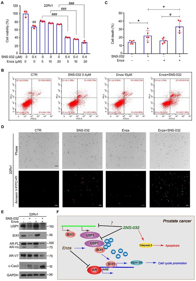 Int J Biol Sci Image