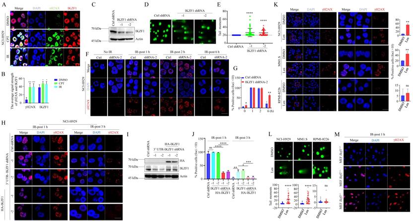 Int J Biol Sci Image