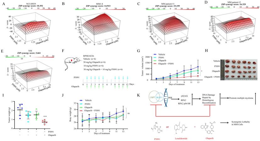 Int J Biol Sci Image