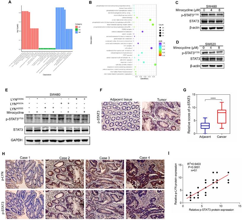 Int J Biol Sci Image