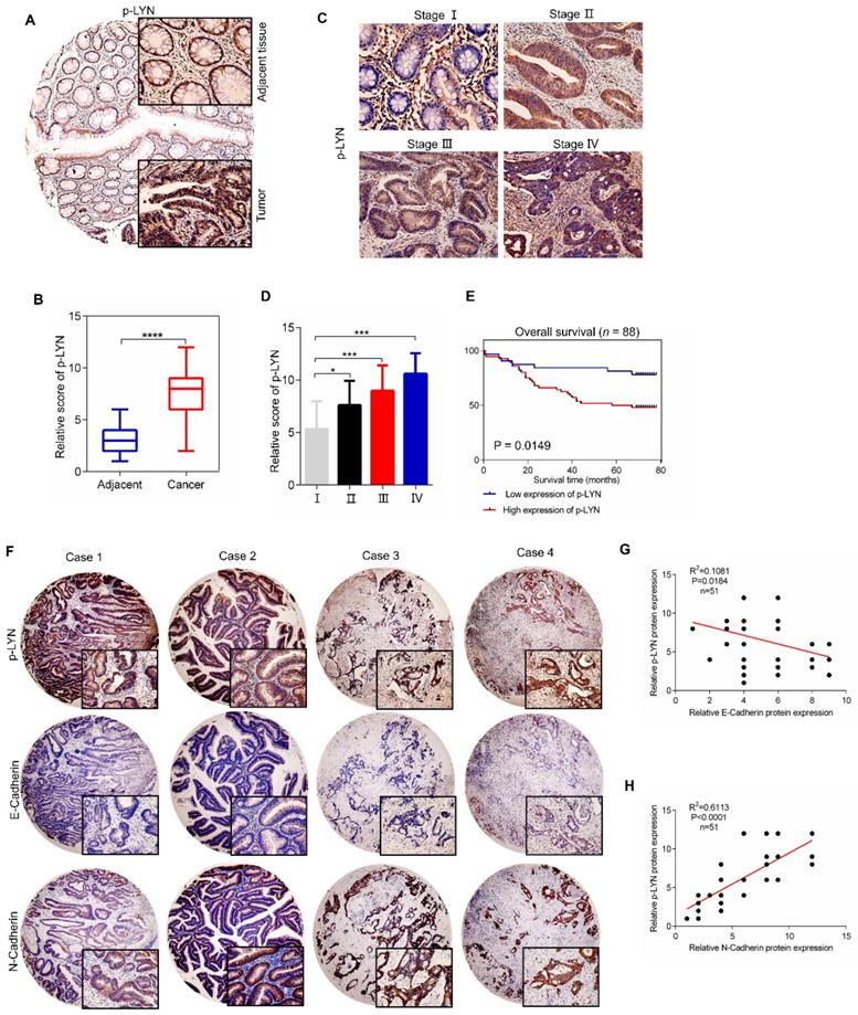 Int J Biol Sci Image