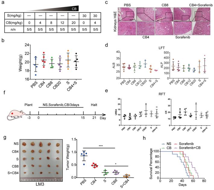 Int J Biol Sci Image