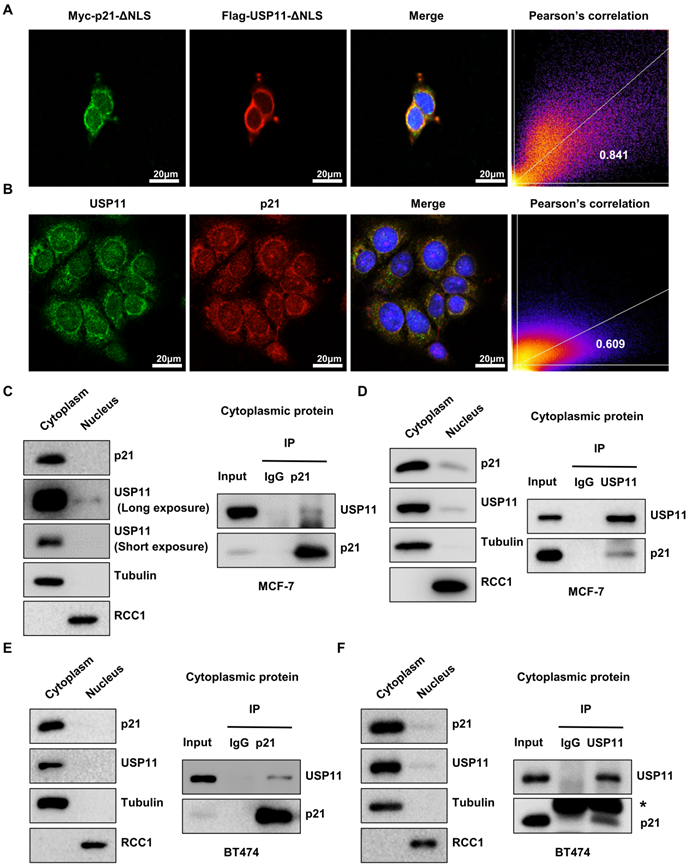 Int J Biol Sci Image