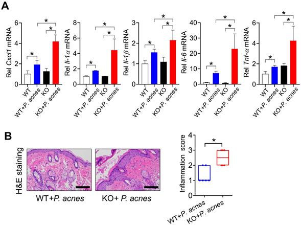 Int J Biol Sci Image