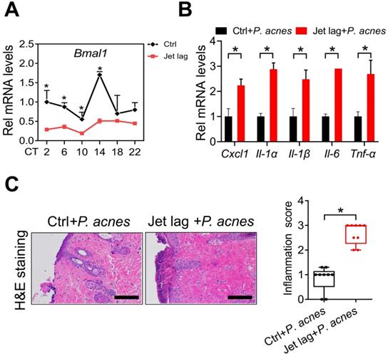 Int J Biol Sci Image