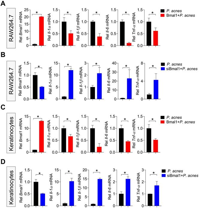 Int J Biol Sci Image