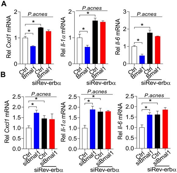 Int J Biol Sci Image