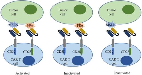 Int J Biol Sci Image