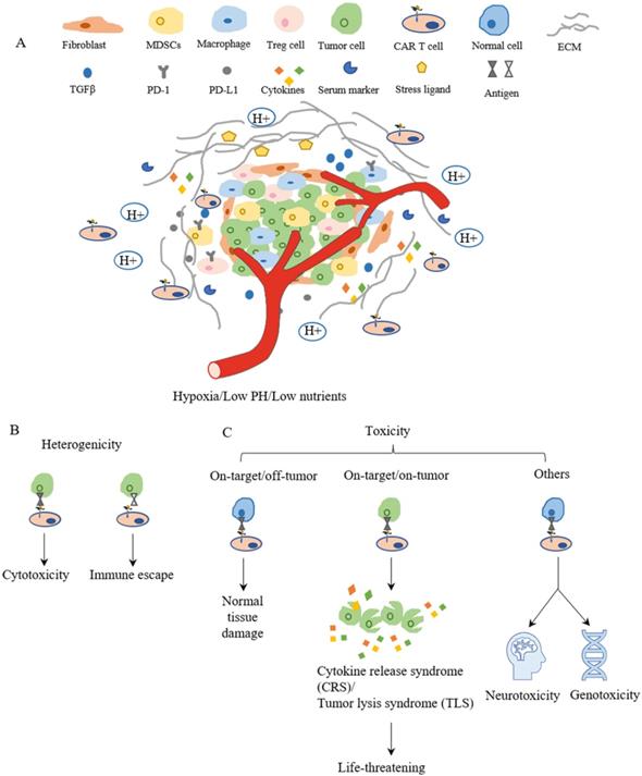 Int J Biol Sci Image