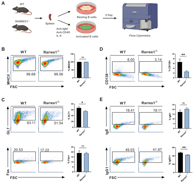 Int J Biol Sci Image