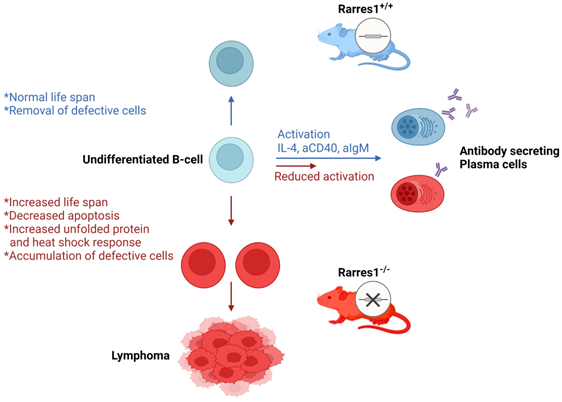 Int J Biol Sci Image