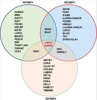 Int J Biol Sci Image