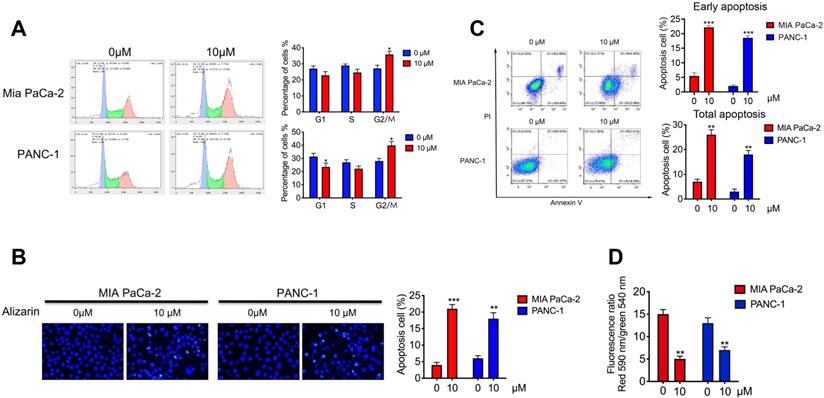 Int J Biol Sci Image