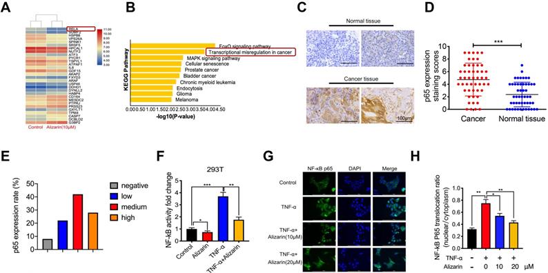 Int J Biol Sci Image