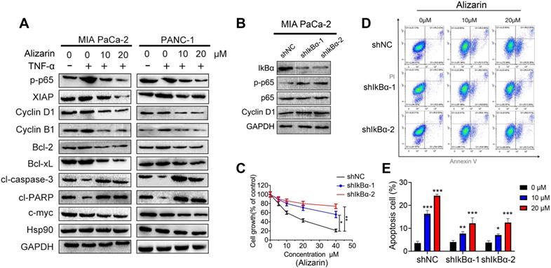 Int J Biol Sci Image