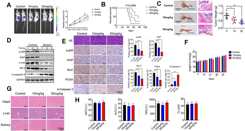 Int J Biol Sci Image