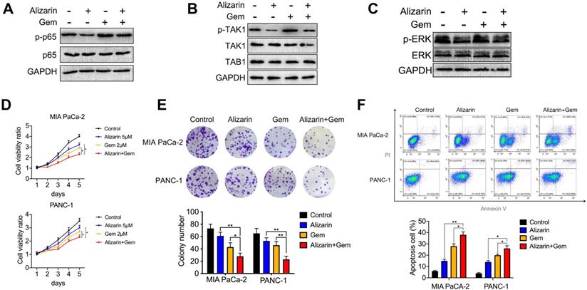 Int J Biol Sci Image
