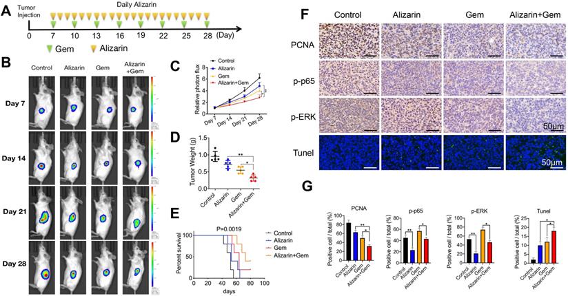 Int J Biol Sci Image