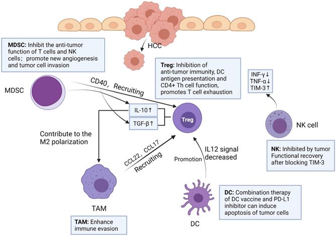 Int J Biol Sci Image