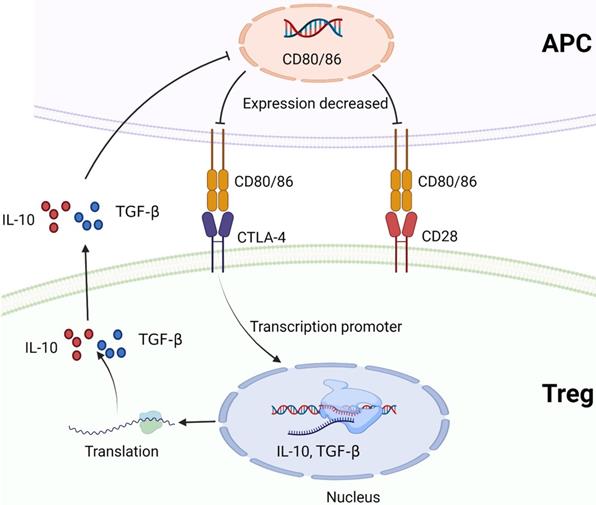 Int J Biol Sci Image