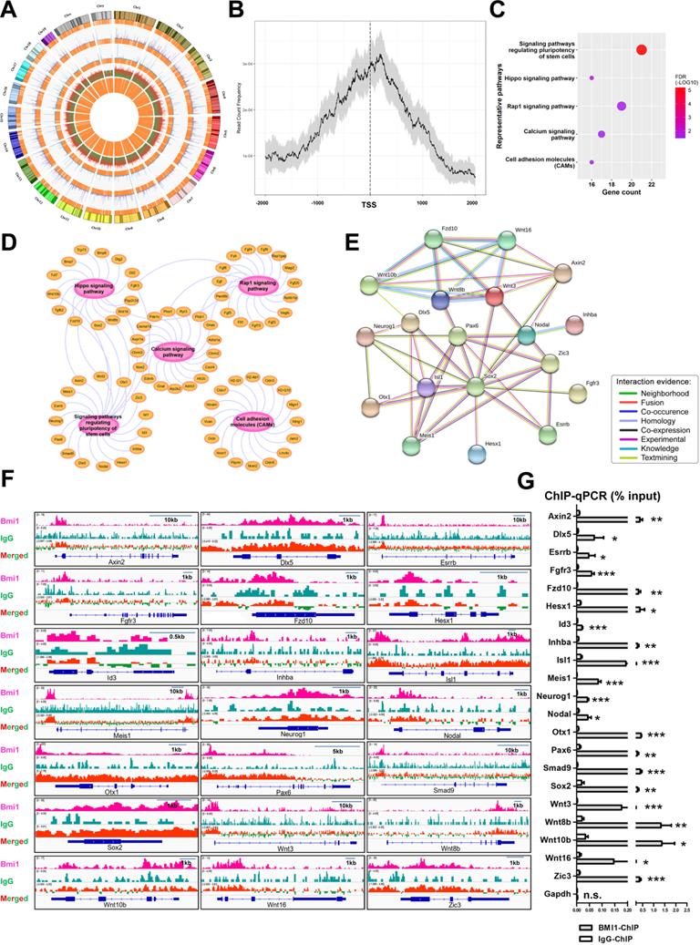 Int J Biol Sci Image