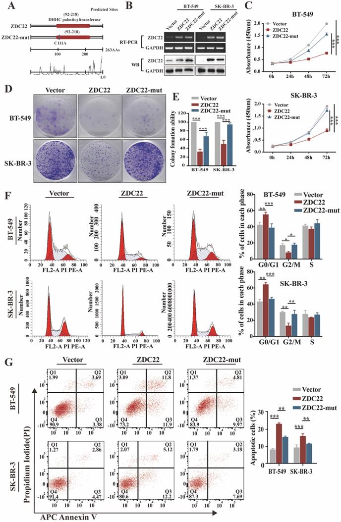 Int J Biol Sci Image