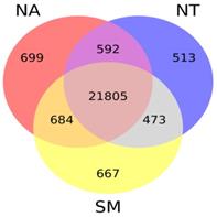 Int J Biol Sci Image