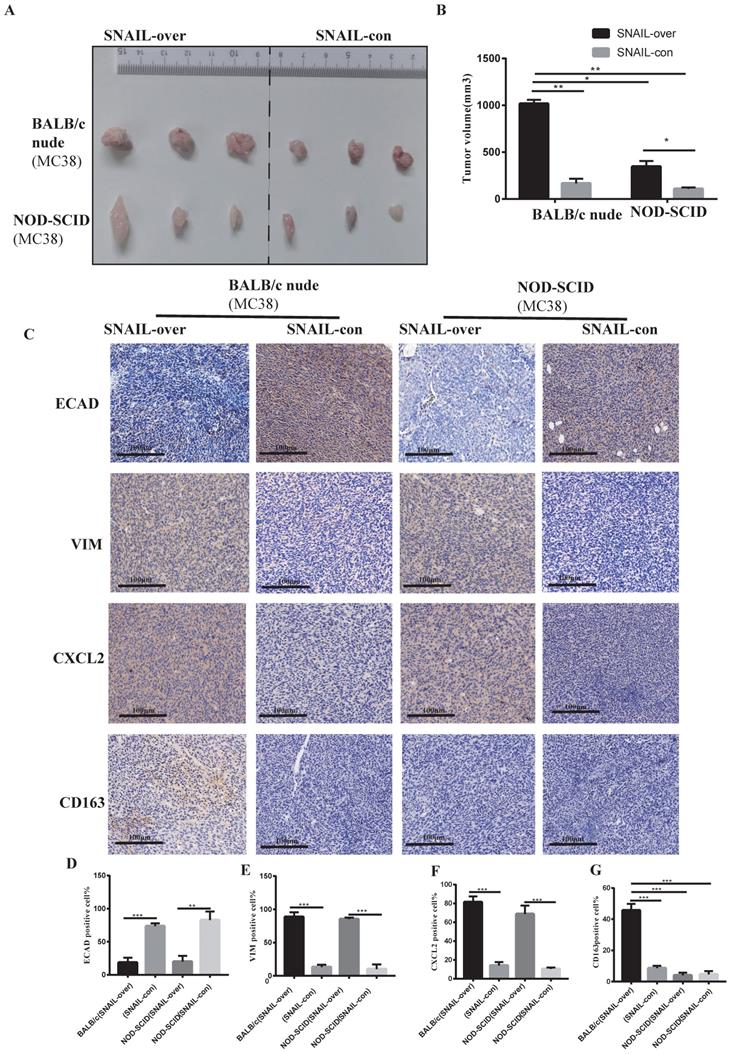 Int J Biol Sci Image