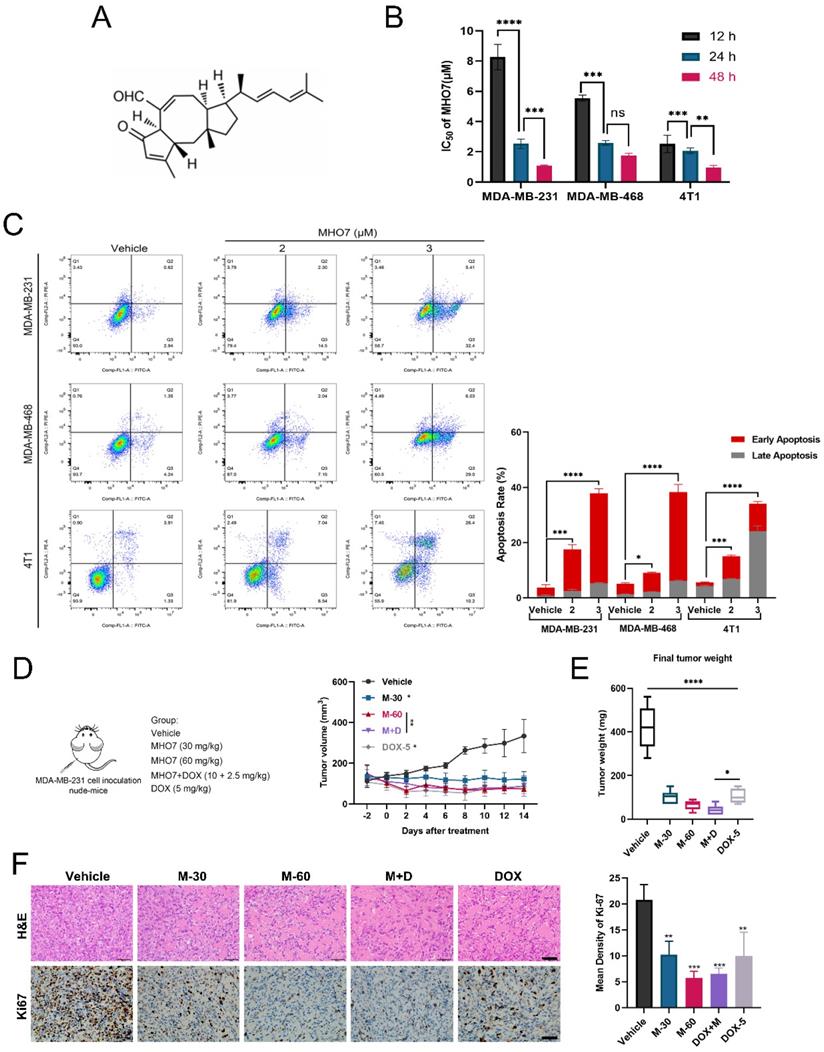 Int J Biol Sci Image