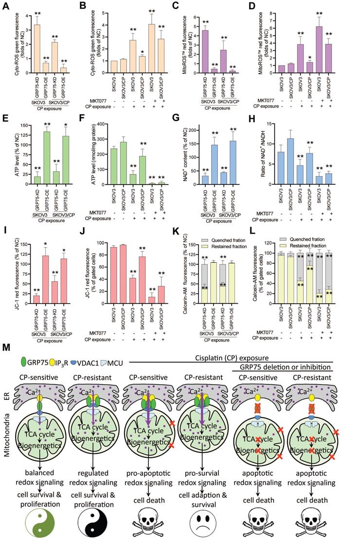 Int J Biol Sci Image