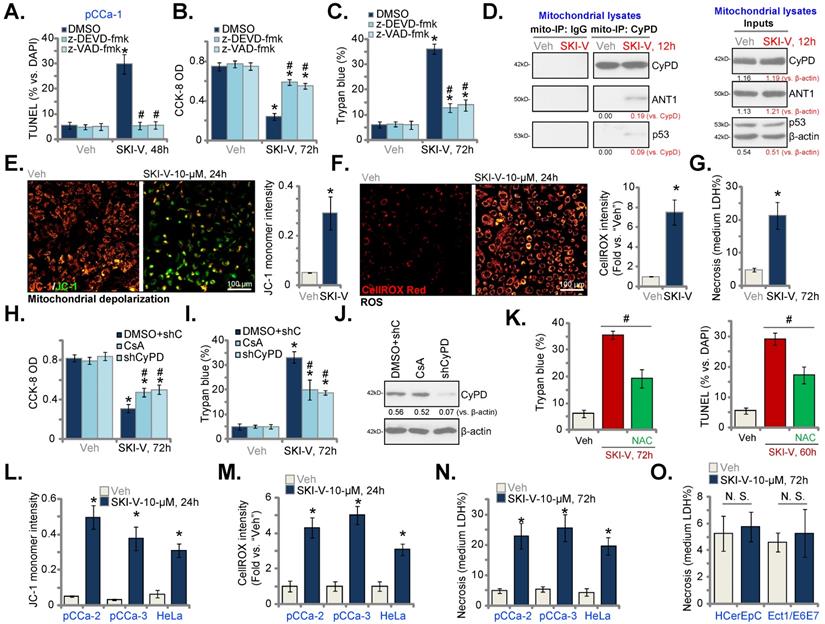 Int J Biol Sci Image