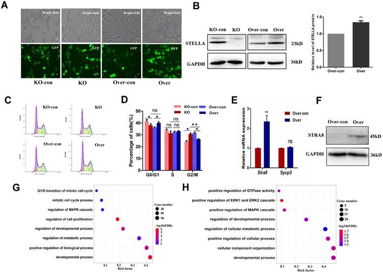 Int J Biol Sci Image