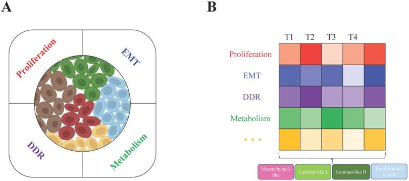 Int J Biol Sci Image